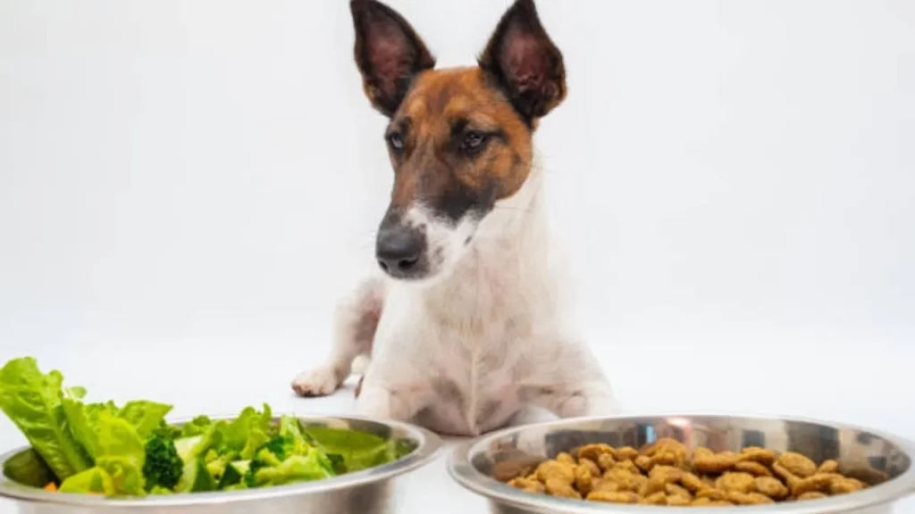 Benefits of Celery For Dogs