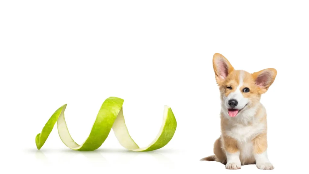 Can Dogs Eat Apples With Skin