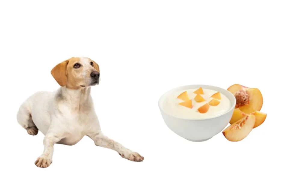 Can Dogs Eat Peaches (4)