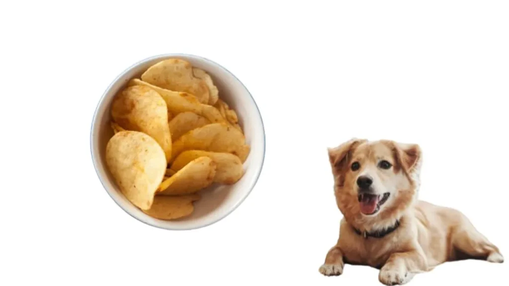 Can Dogs Eat Potatoes (3)