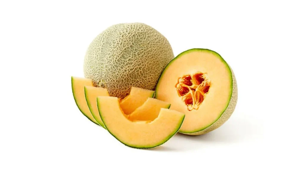 Can Dogs Eat Cantaloupe