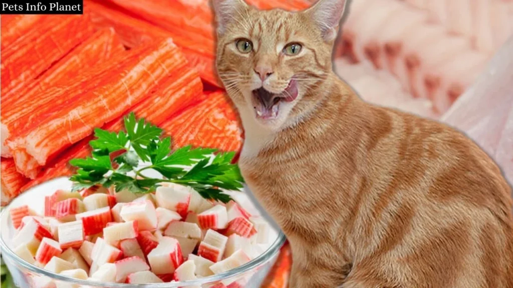 Can Cats Eat Imitation Crab? A Comprehensive Guide 2024